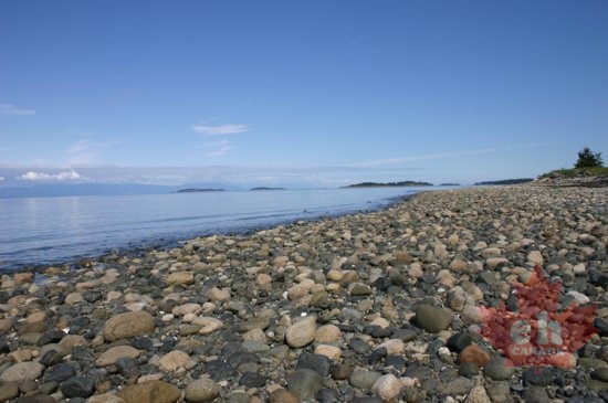 Pebbled Beach