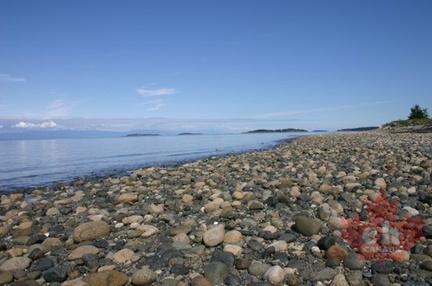 Pebbled Beach