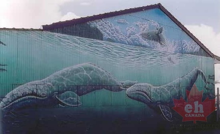 Whale Mural