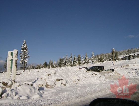 HPIM0088.jpg