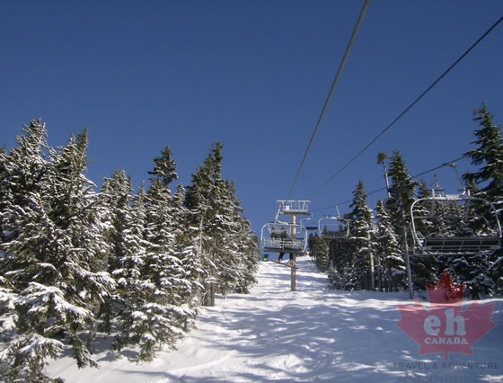 HPIM0089.jpg
