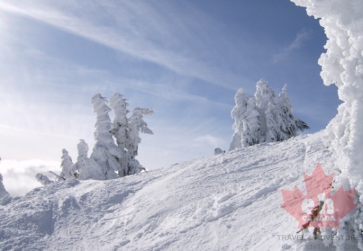 Winter Tourism in British Columbia, Canada