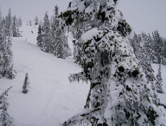 HPIM0189.jpg