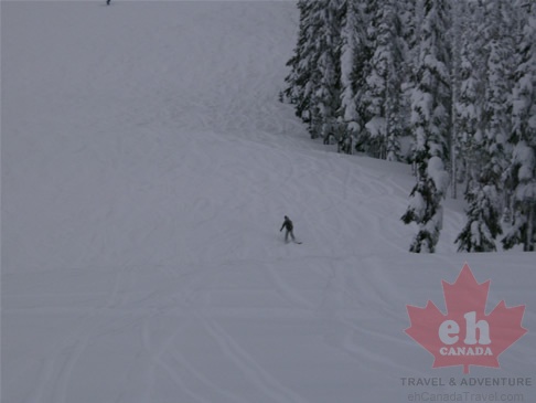 mtwashington30.jpg