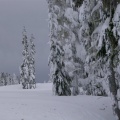 mtwashington33.jpg