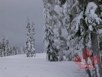 mtwashington33.jpg