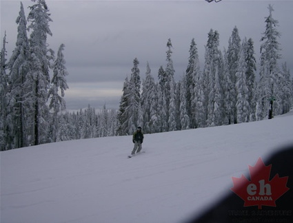 mtwashington34.jpg