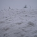 mtwashington39.jpg