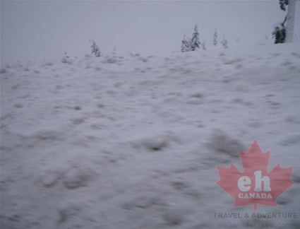 mtwashington39.jpg