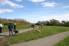 victoria_beacon hill_dog085.jpg