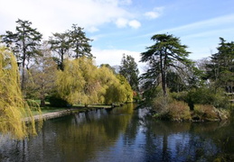 Beacon Hill Park Duck Pond (8108 visits) Beacon Hill Park Duck Pond
