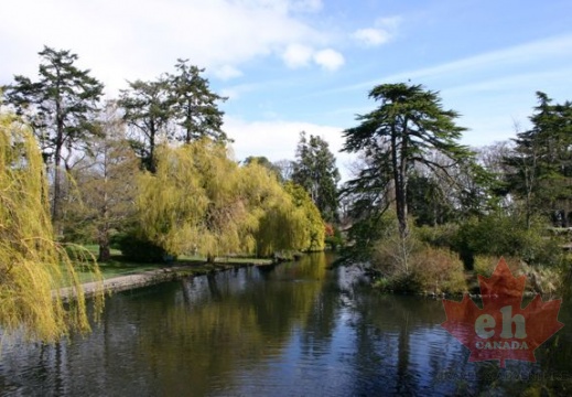 Beacon Hill Park Duck Pond