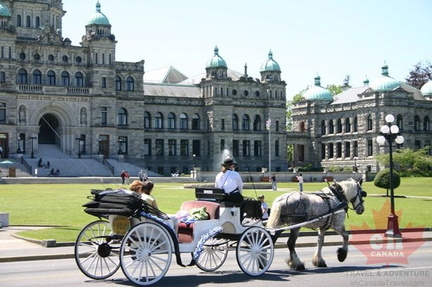 Horse Drawn carraige