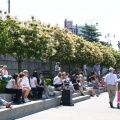 Lower Walkway