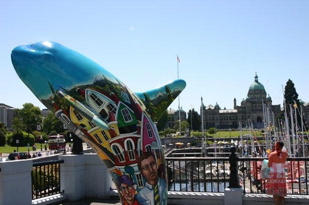 Victoria Orca Statue (3377 visits) Painted Orca statues located throughout Victoria Victoria Orca Statue