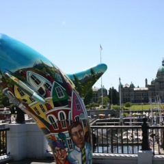 Victoria Orca Statue (3371 visits) Painted Orca statues located throughout Victoria Victoria Orca Statue