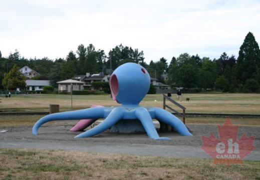 Giant Octopus