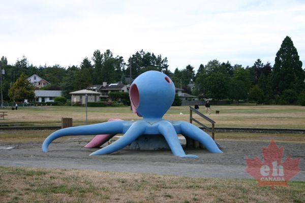 Giant Octopus