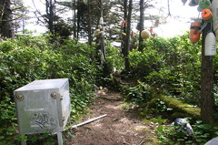 Food Cache