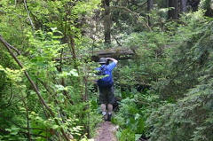 Keeha Bay Hike
