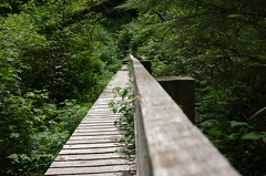 West Coast Trail