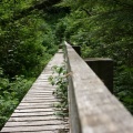 West Coast Trail