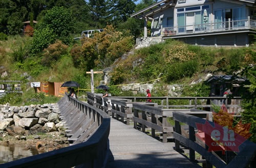 Waterfront Bridge
