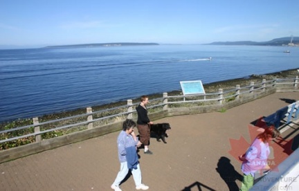Texada Island Lookout