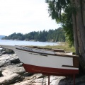 Rough Boating