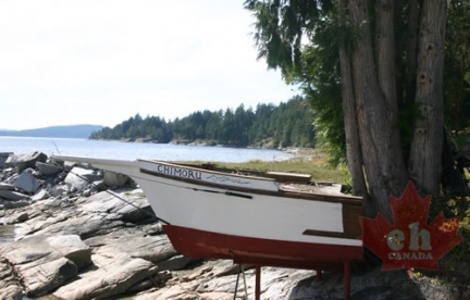 Rough Boating