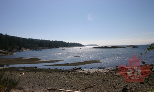 Waterfront Beach