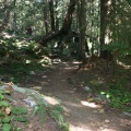 Hiking Trail