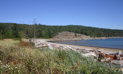 Beach Area