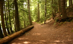 Trails and Trails