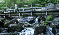 Hiking over Wooden Footpath Bridge