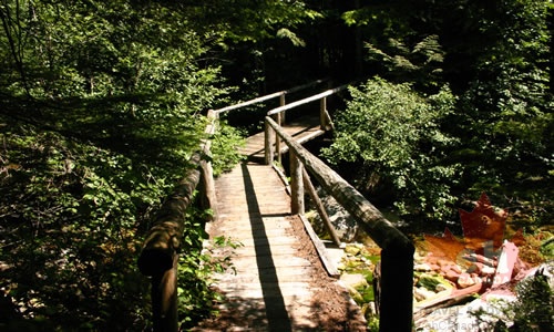 Wooden Bridge on Hiking Trail