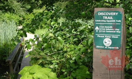 Trail Marker