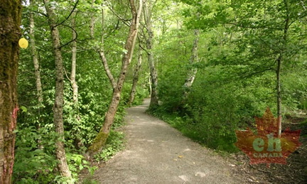 Hiking Trail