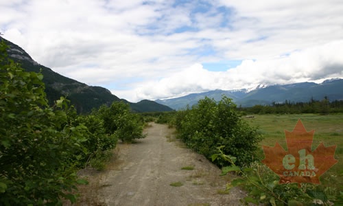 Earthy Walking Trail