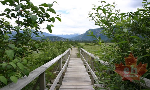 estuary_path_from_the_spit.jpg