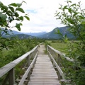 Wooden Boardwalk Entrance to Estuary from The Spit