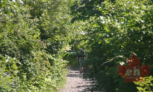 squamish_town_centre 070.jpg