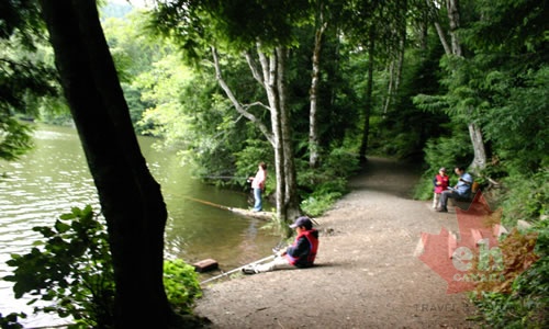 Hiking Trail and Fishing Spot on Alice lake alice_lake_fishing 002.jpg