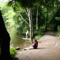 Hiking Trail and Fishing Spot on Alice lake