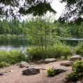 Fawn Lake Picnic Area