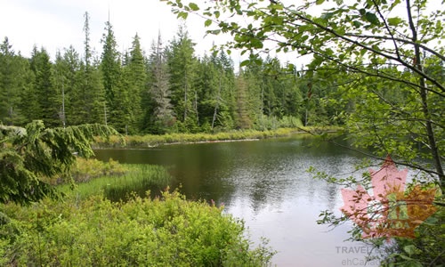 Lush surroundings of Fawn Lake