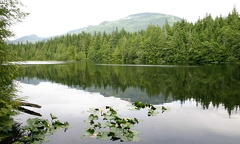 Stump Lake Reflections