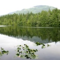 Stump Lake Reflections