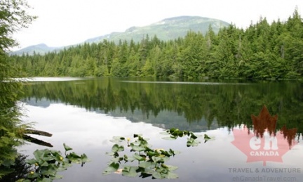Stump Lake Reflections