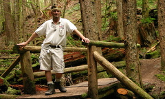 Wooden Bridge on Trail